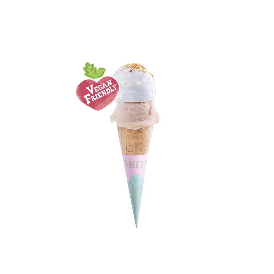בינוני - 2 כדורים  טבעוני - Medium - 2 scoops vegan