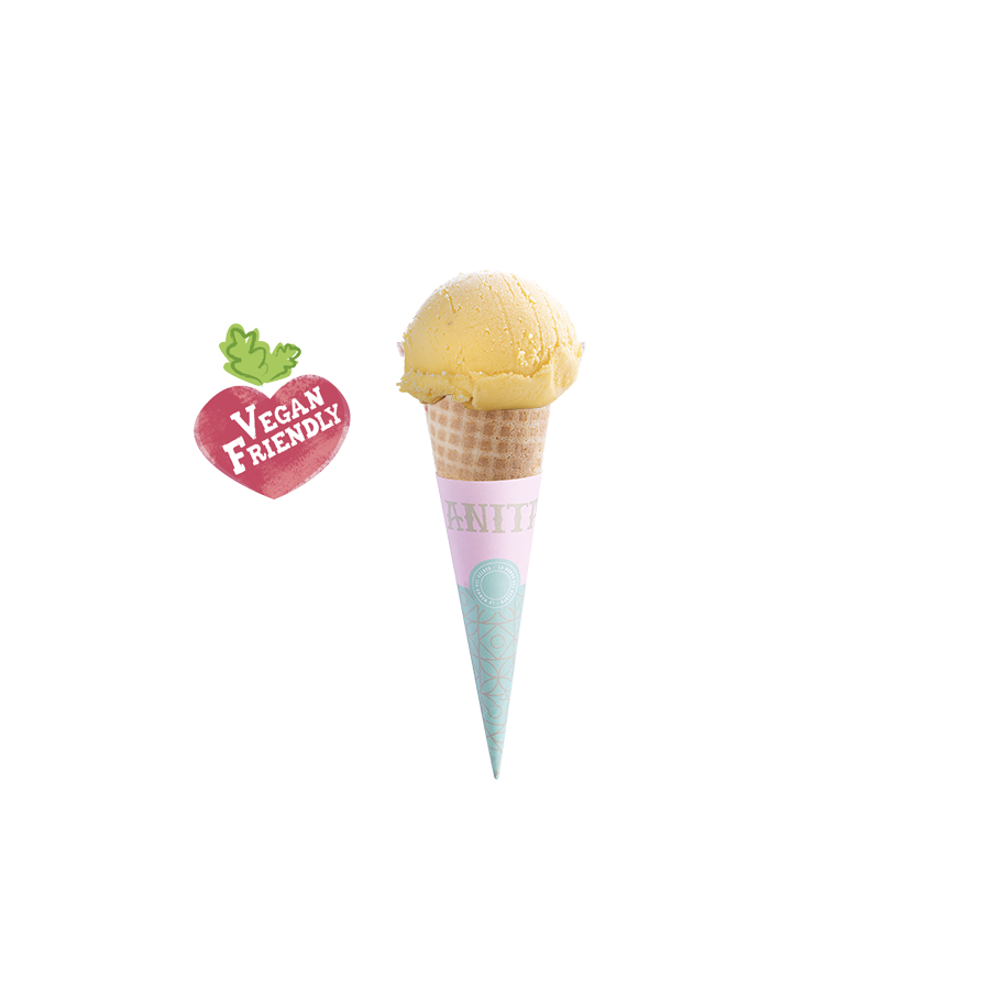 בסיס - כדור 1  טבעוני - regular - 1 scoop vegan